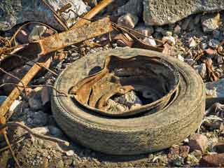 Tire in landfill